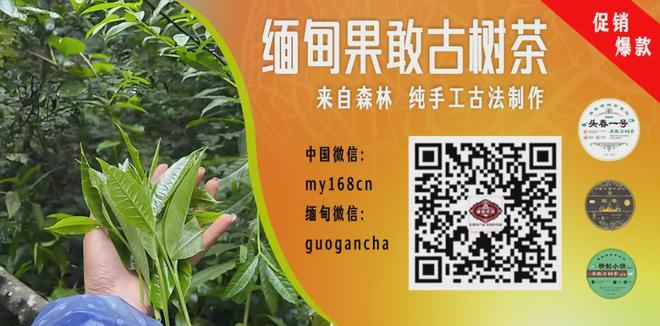 北控男篮官宣新教练组成员到位
