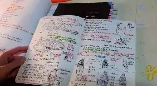 国安举行开放日活动，训练前全队为不幸去世的员工默哀
